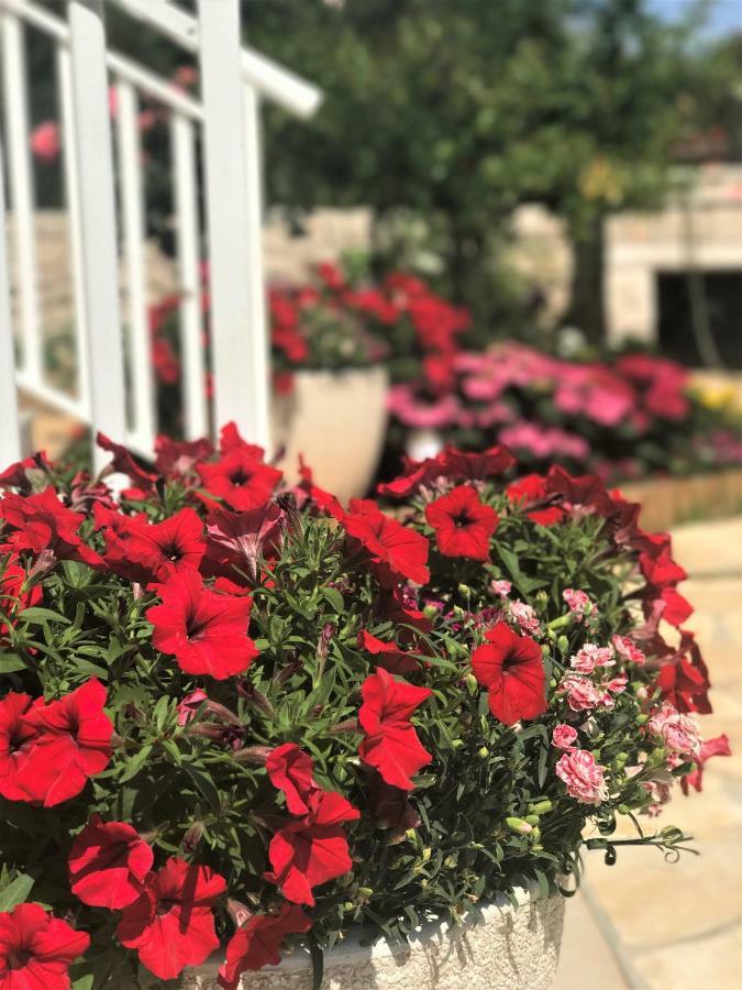Apartmani Fortuna لومباردا المظهر الخارجي الصورة